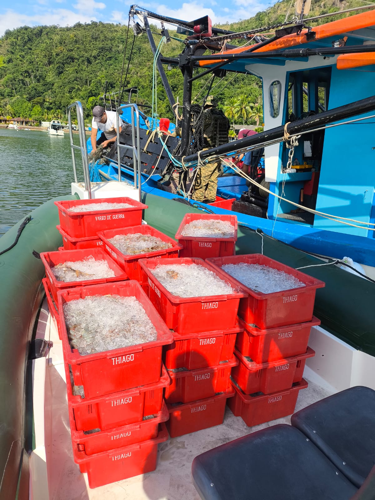 Denúncia de pesca predatória feita ao Linha Verde, leva policiais militares a apreenderem 250 quilos de pescado e crustáceo em Paraty 